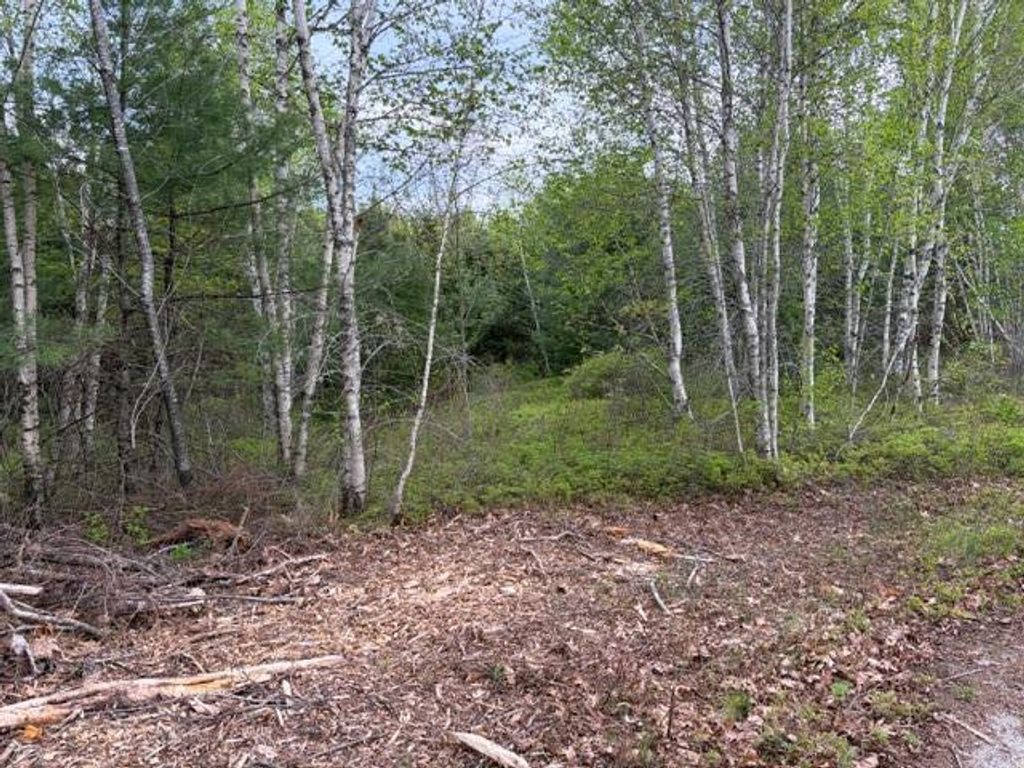 Photo of Lot #8 Thayer Road, Waltham, ME 04605 (MLS # 1662895)