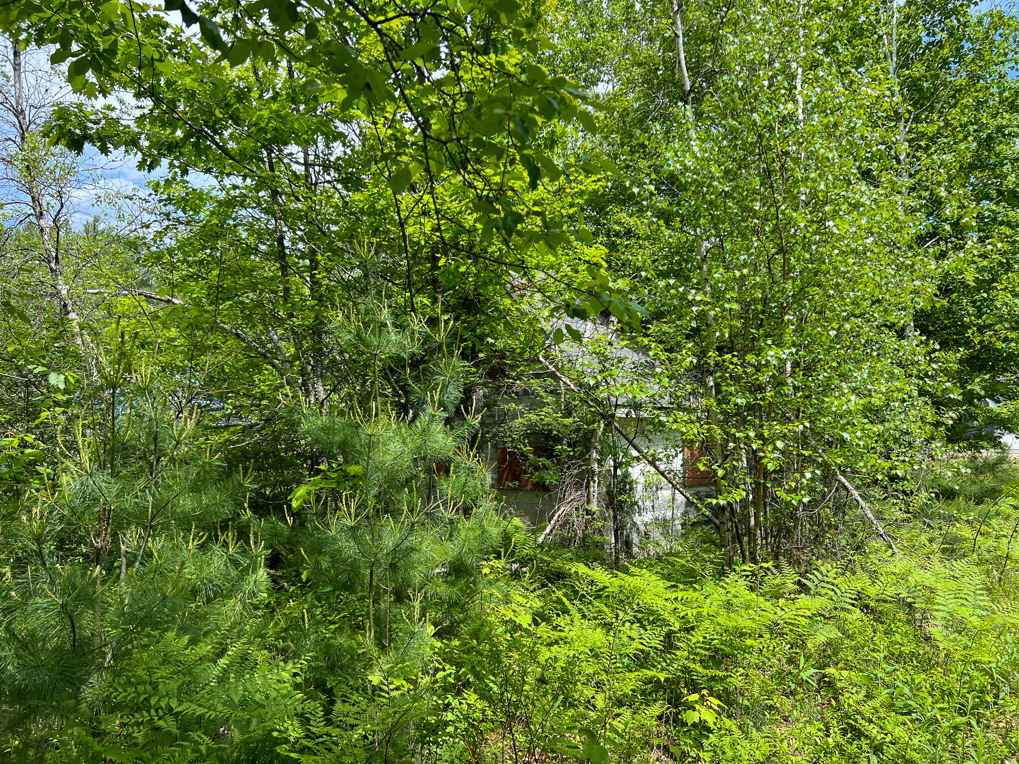 128 Common Road