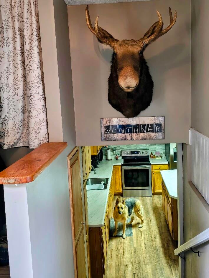218 Elm