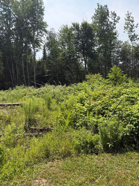 Photo of M6L23-4 Pinewood Drive, Corinth, ME 04427 (MLS # 1670863)