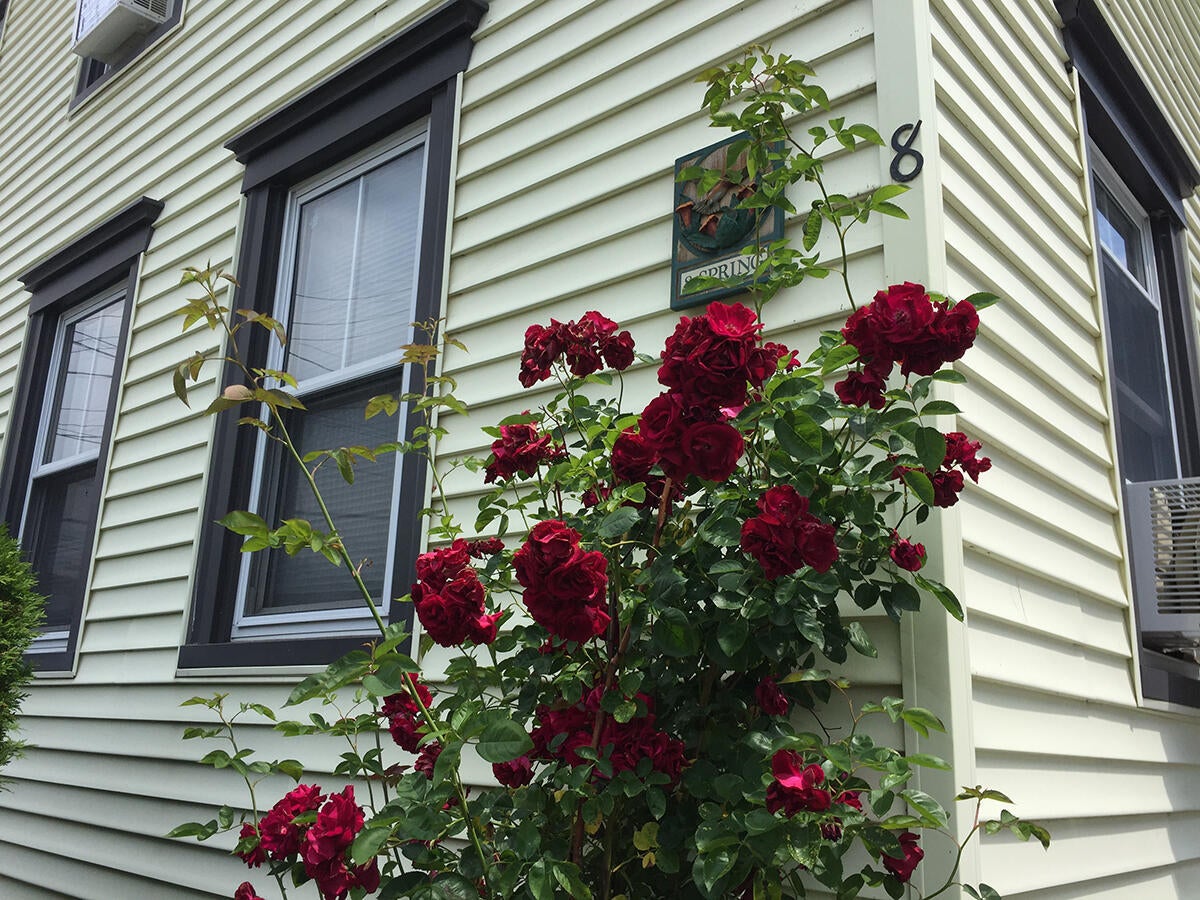 8 Spring Street