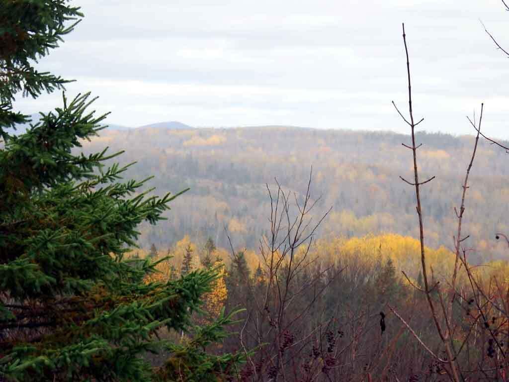 Lot 16-B Maine 11