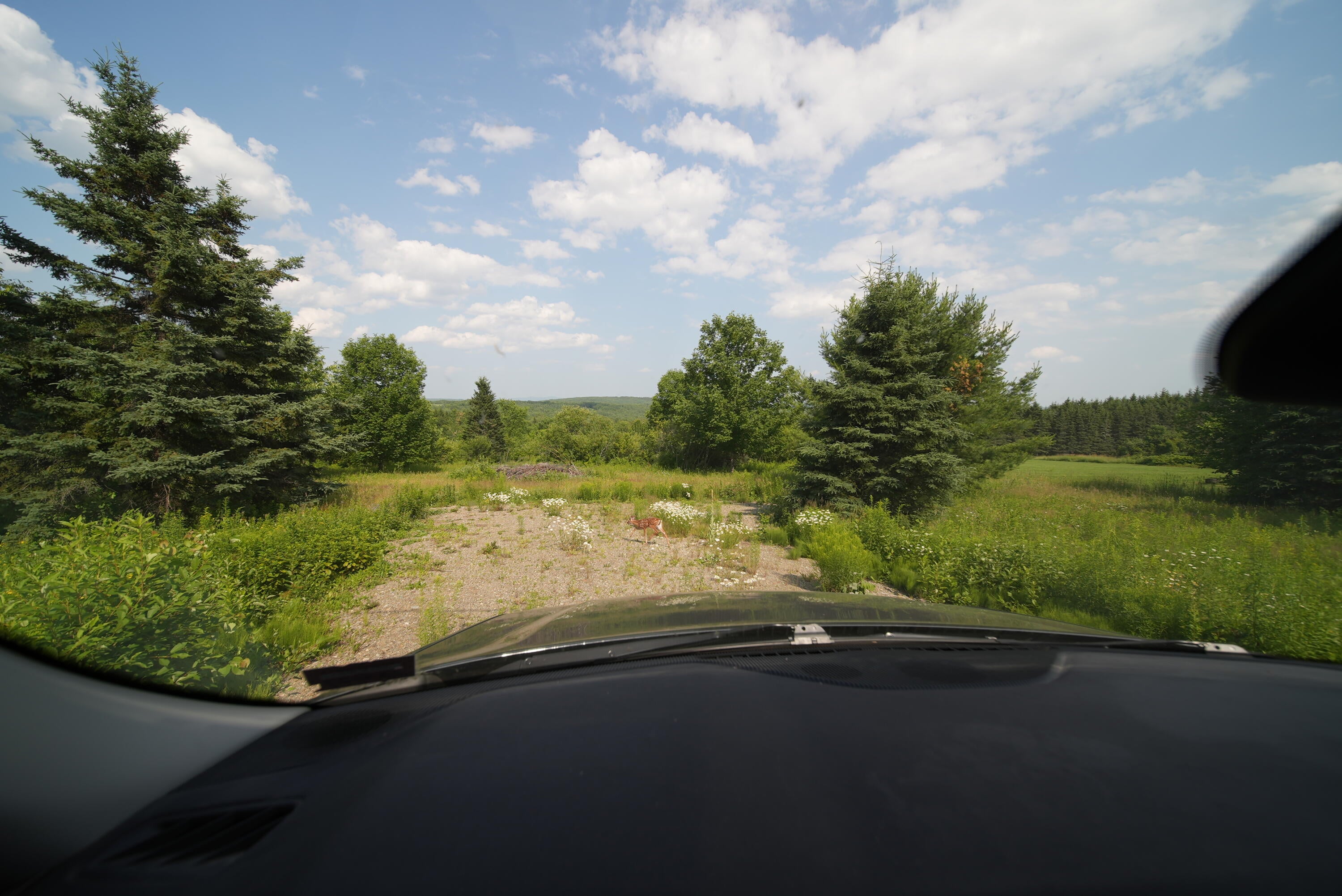 Lot 16-B Maine 11