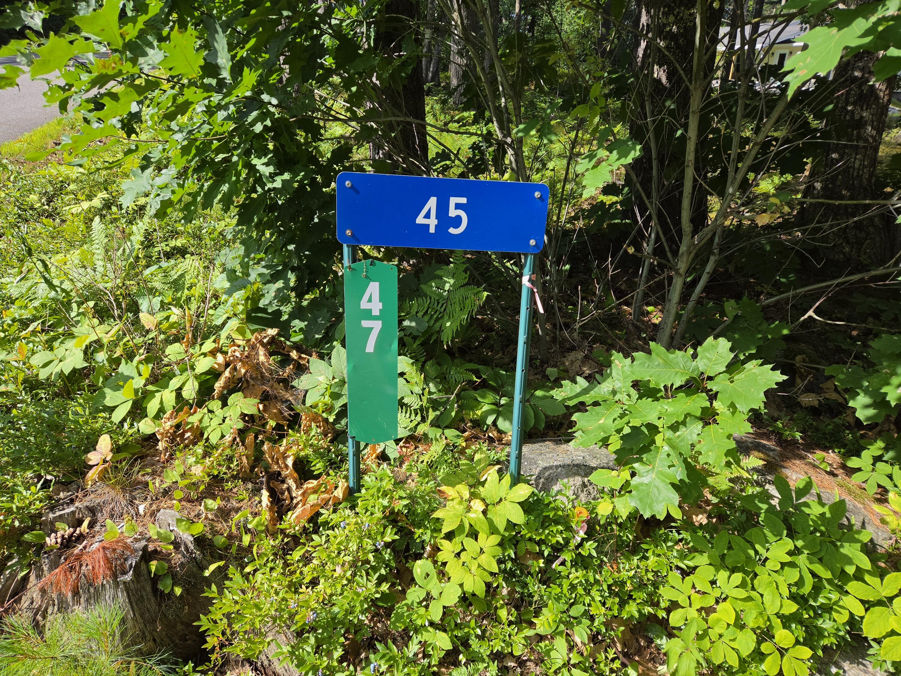 45 Reed Road