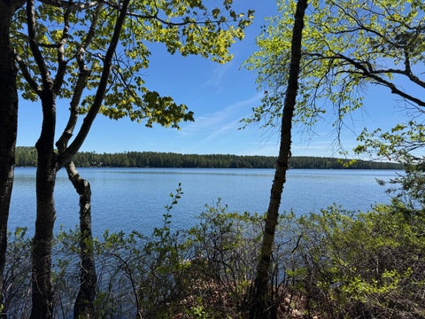 Photo of Lot 16 Commons Dr Drive, Bridgton, ME 04009 (MLS # 1665721)