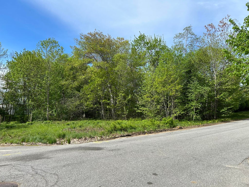 Photo of 0 Union Park Road #0, Topsham, ME 04086 (MLS # 1663488)