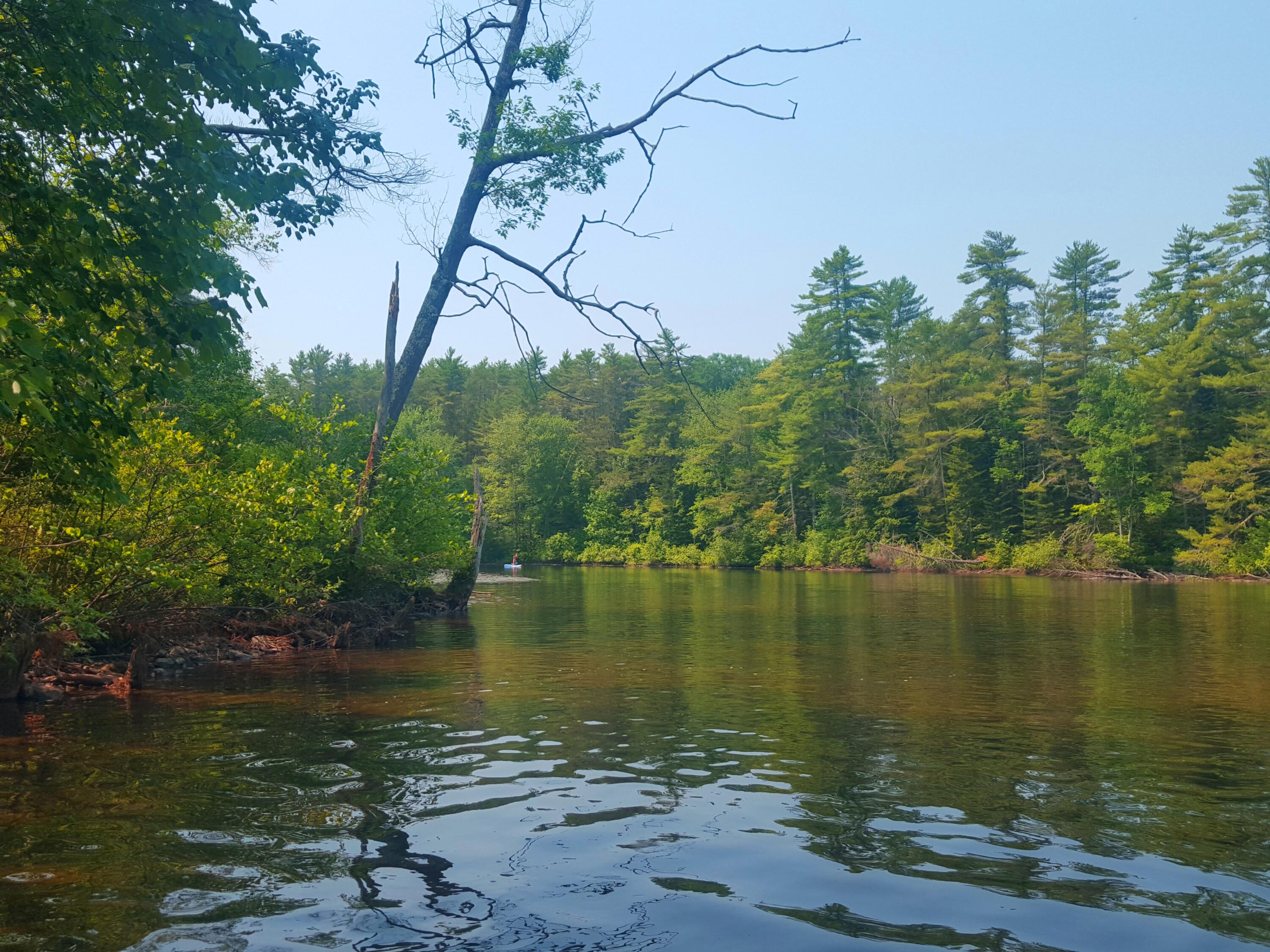 594 River Road Road