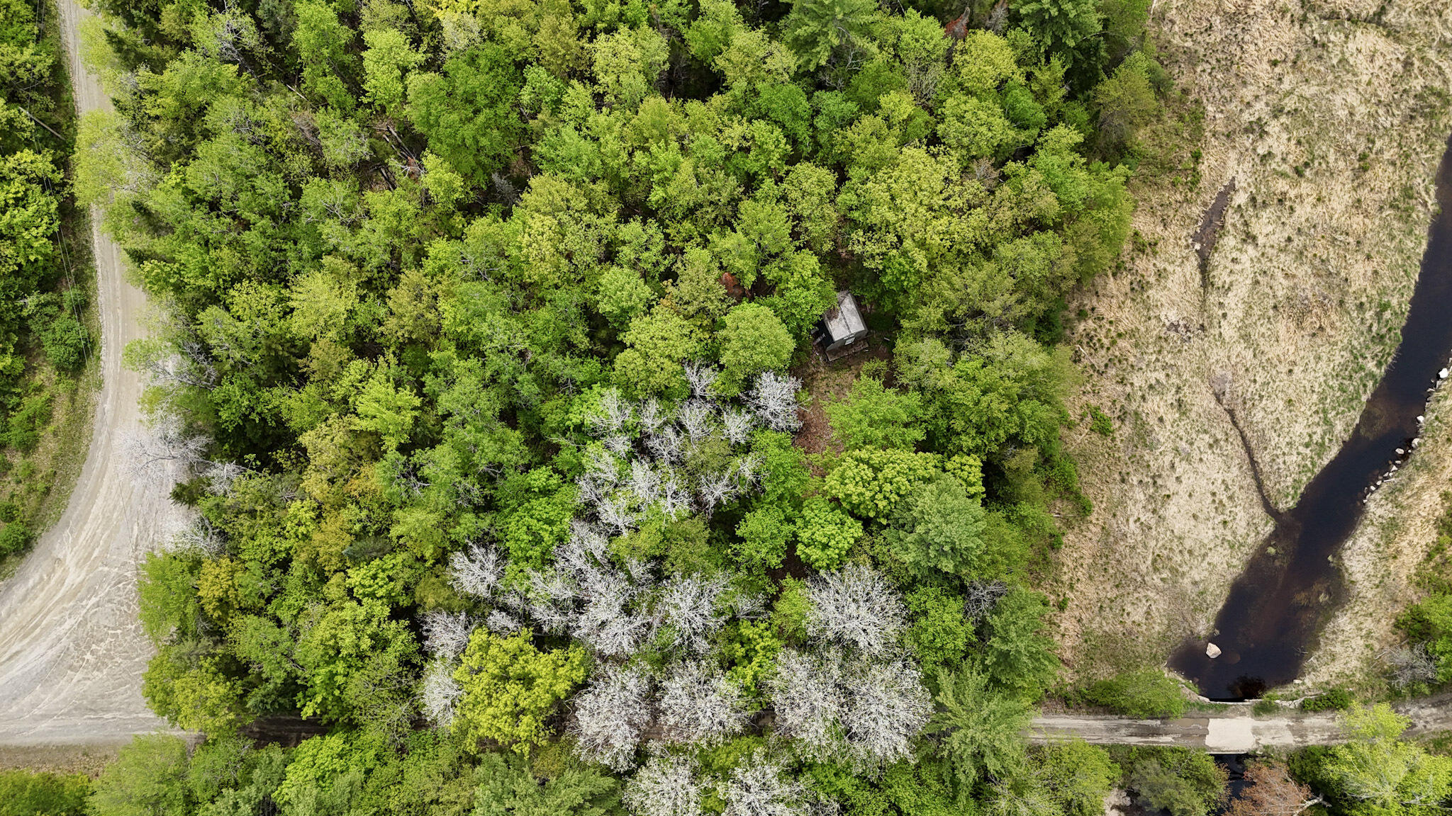 Lot 5 Stream Road