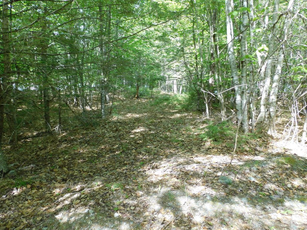 Photo of Lot 2 Big Lake Shores Road, Greenlaw Chopping Twp, ME 04668 (MLS # 1666482)