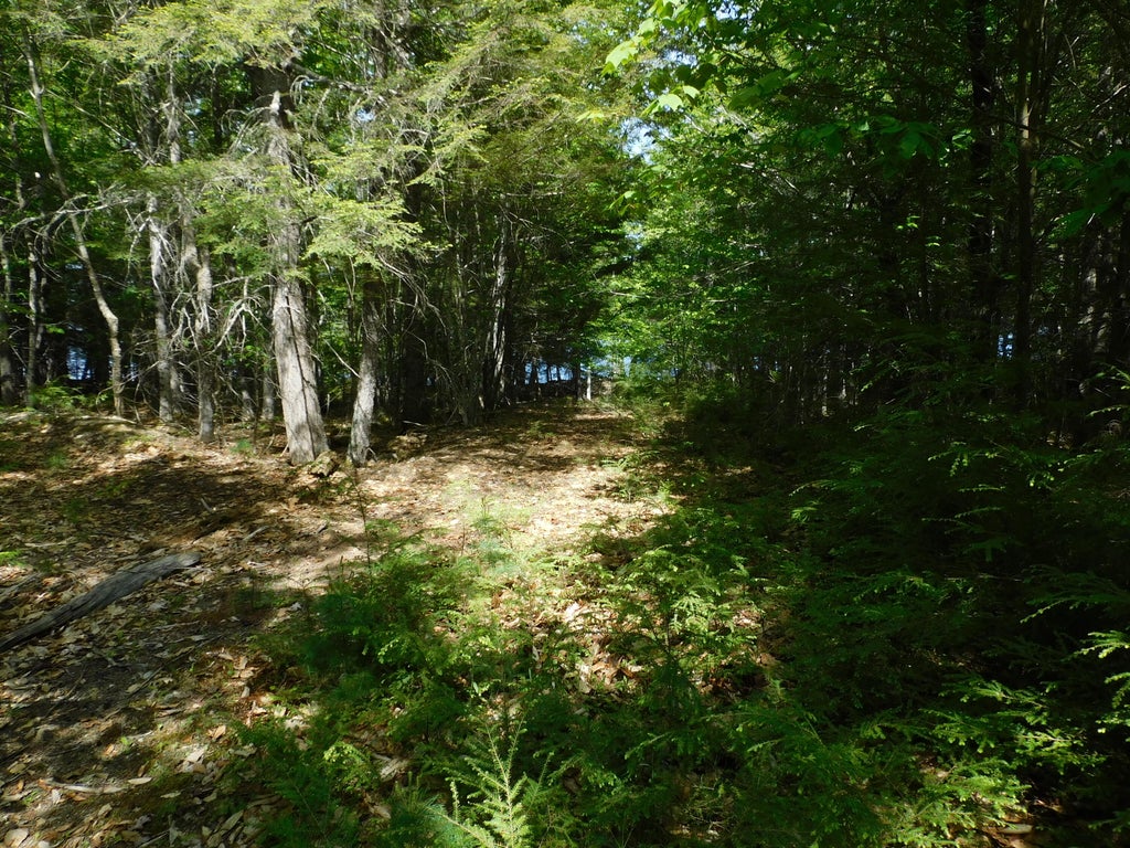Photo of Lot 2 Big Lake Shores Road, Greenlaw Chopping Twp, ME 04668 (MLS # 1666482)