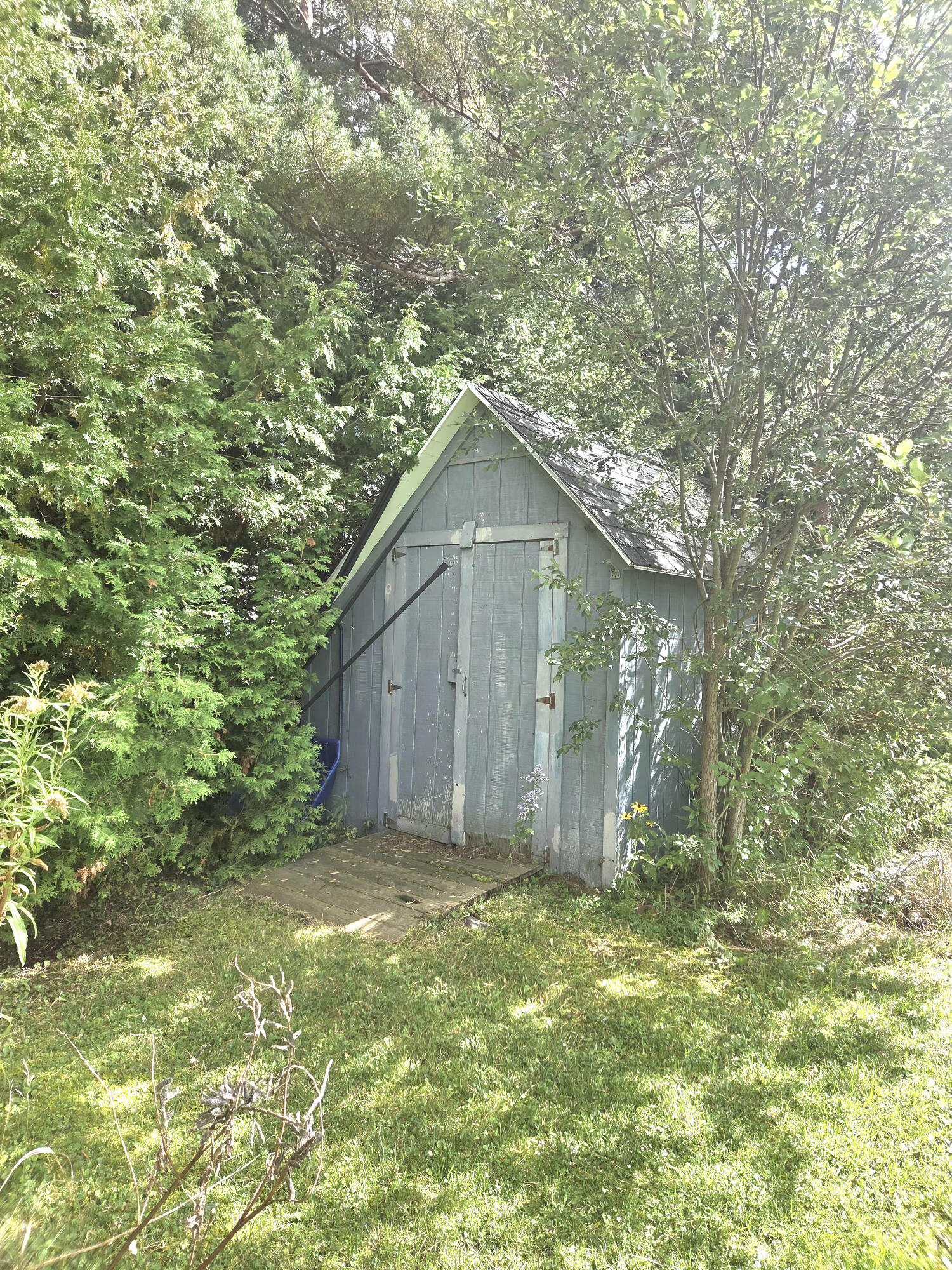 5 Sherwin Street