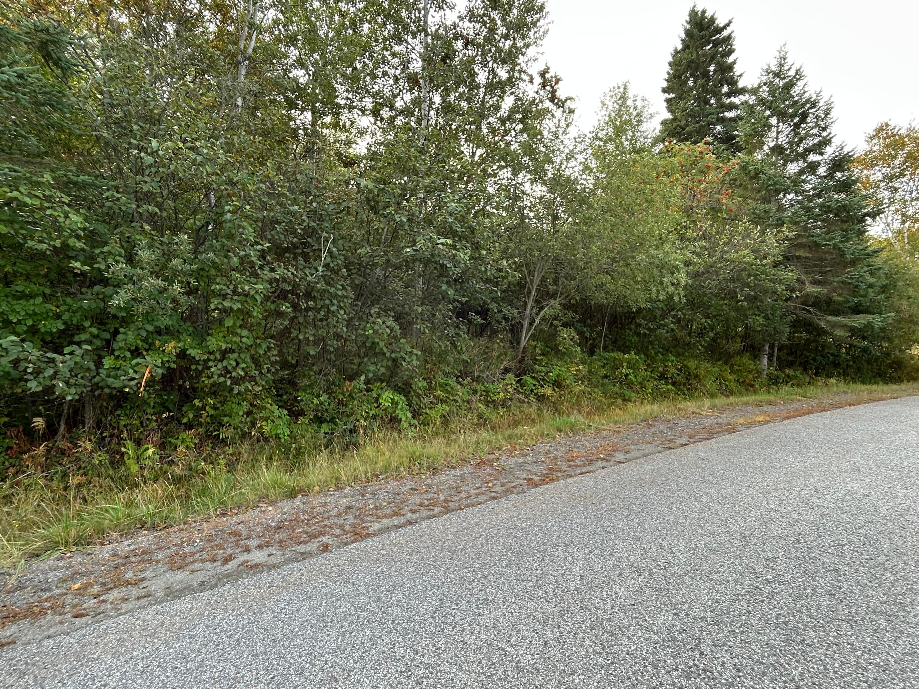M38/L33 Grandview Avenue