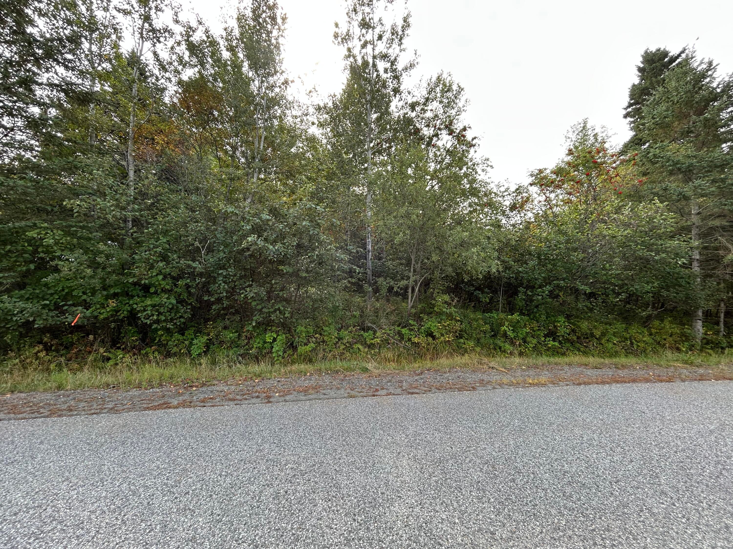 M38/L33 Grandview Avenue