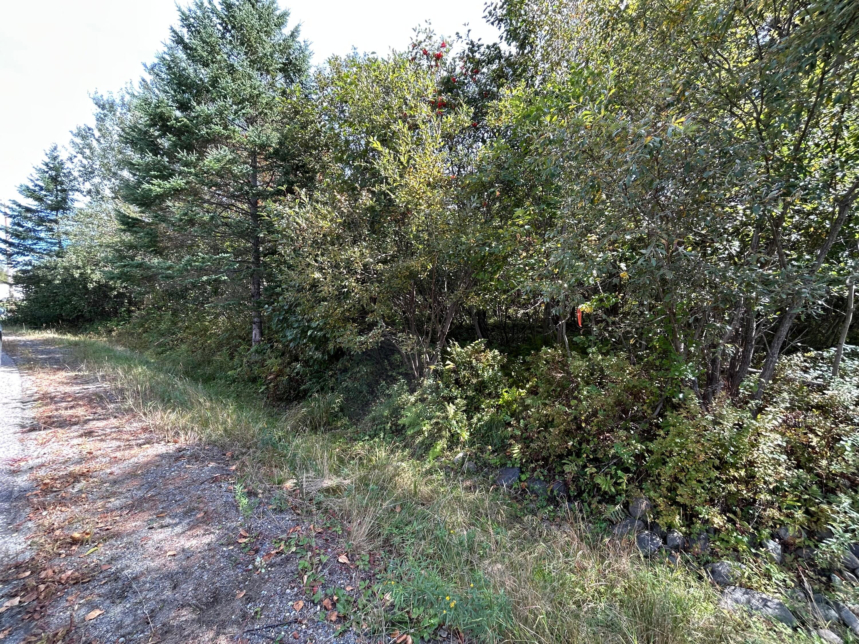 M38/L33 Grandview Avenue