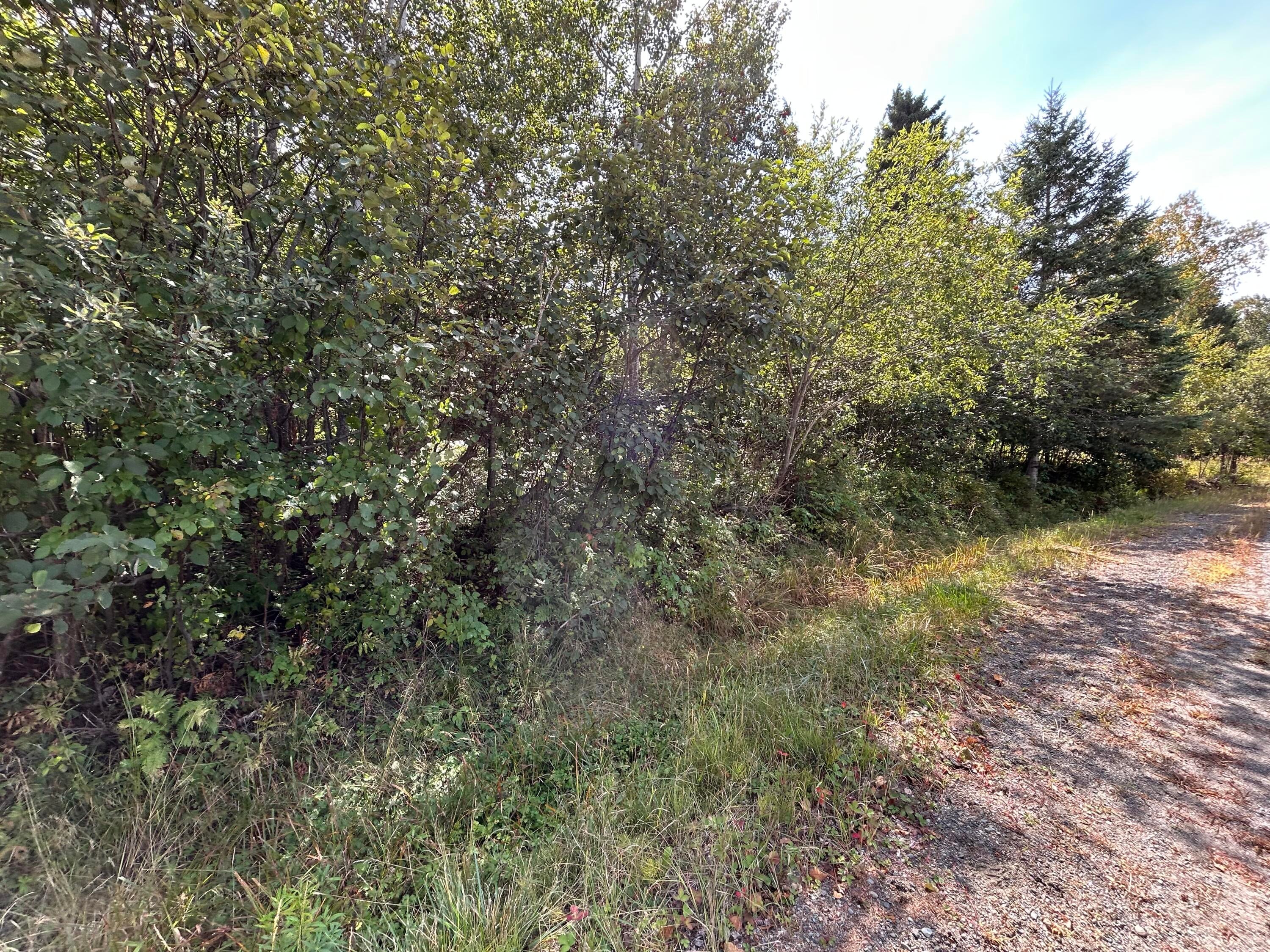 M38/L33 Grandview Avenue