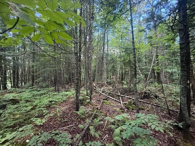 198 Green Ridge Road