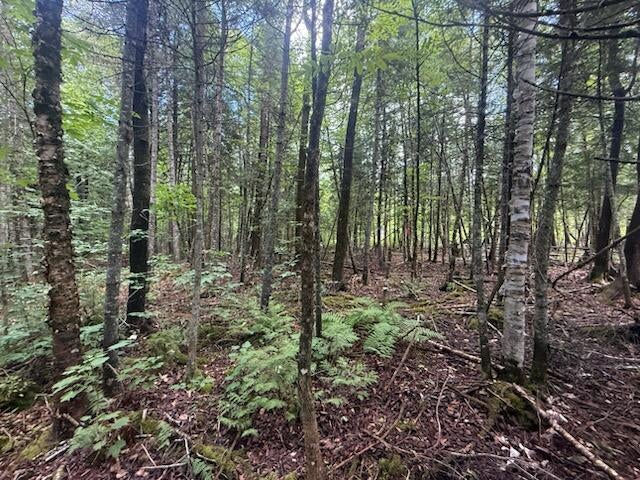 198 Green Ridge Road