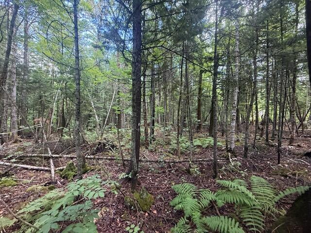 198 Green Ridge Road