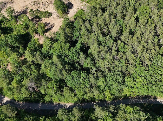 Lot 23, F1 Little Poverty Pond Road