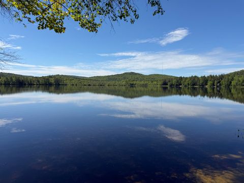 Photo of 00 Hogfat Hill Road, Sebago, ME 04029 (MLS # 1665718)