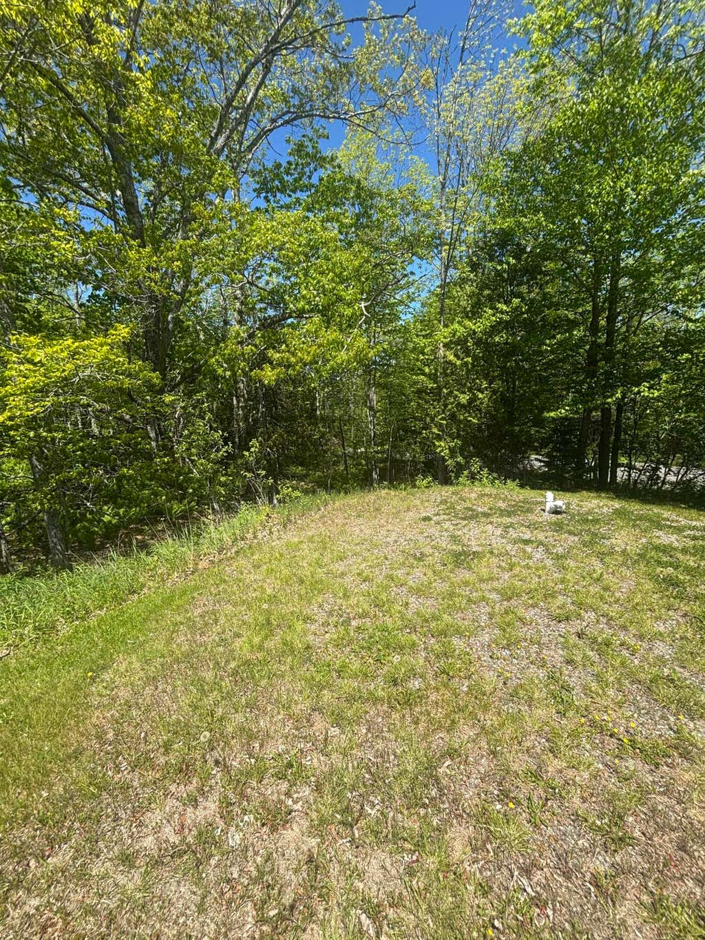 Photo of 954 Cape Rosier Road, Brooksville, ME 04642 (MLS # 1666948)