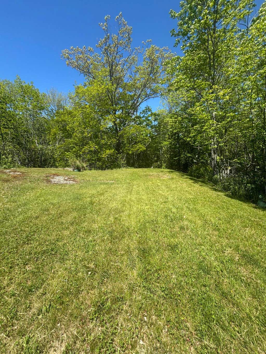Photo of 954 Cape Rosier Road, Brooksville, ME 04642 (MLS # 1666948)
