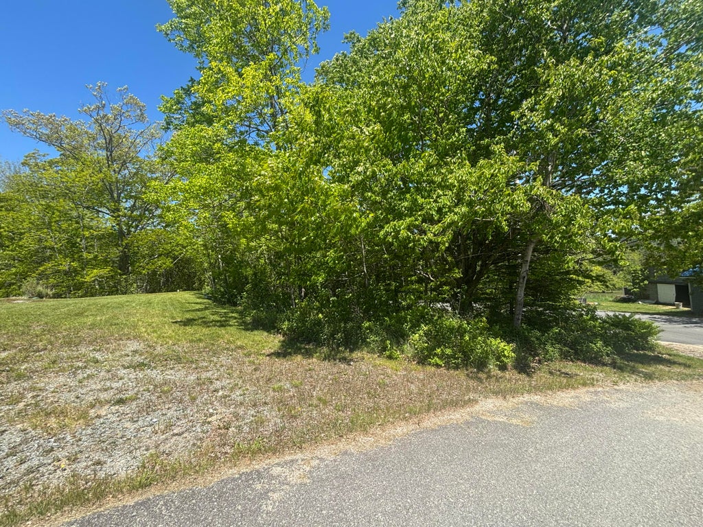 Photo of 954 Cape Rosier Road, Brooksville, ME 04642 (MLS # 1666948)