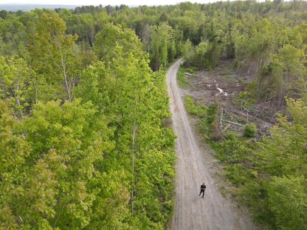 Photo of Lot 12 Parker Pond Road, Sebec, ME 04481 (MLS # 1664353)