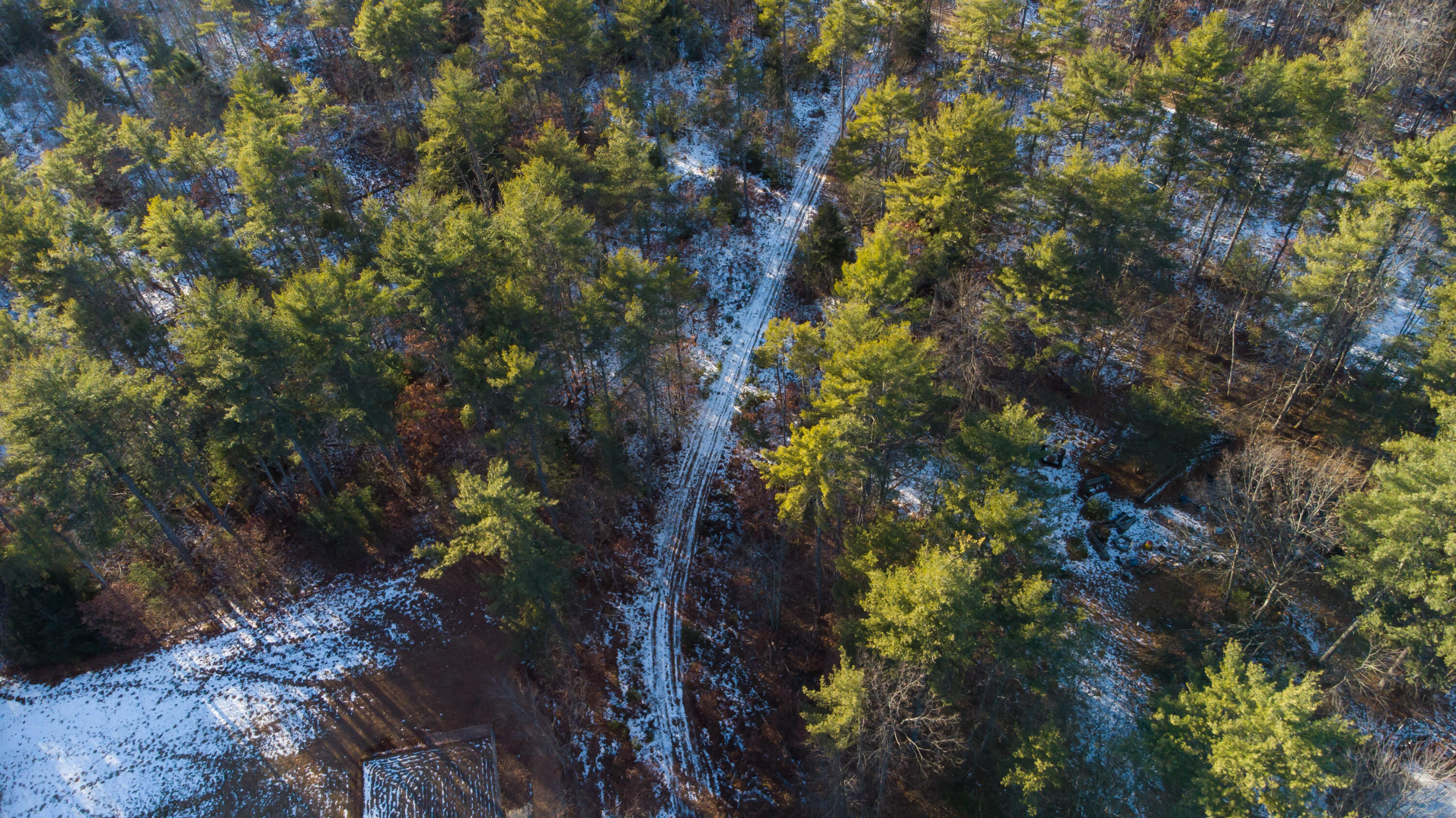 TBD Saco Road
