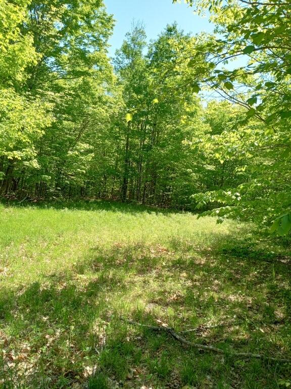 2401 Long Falls Dam Road