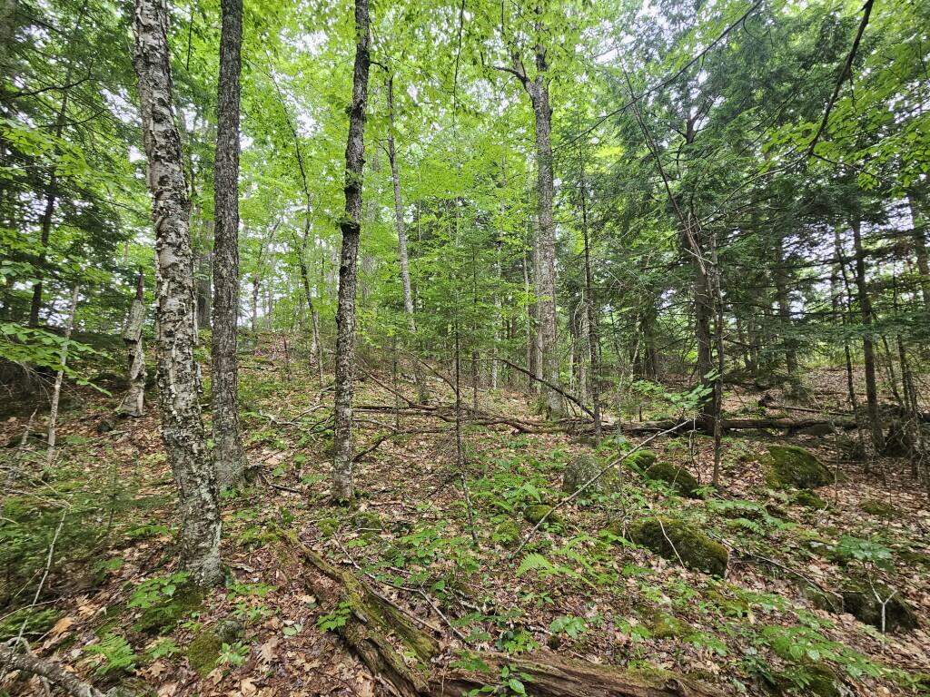 19A Quaker Ridge Road