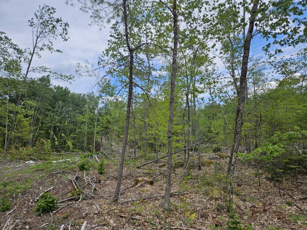 19A Quaker Ridge Road