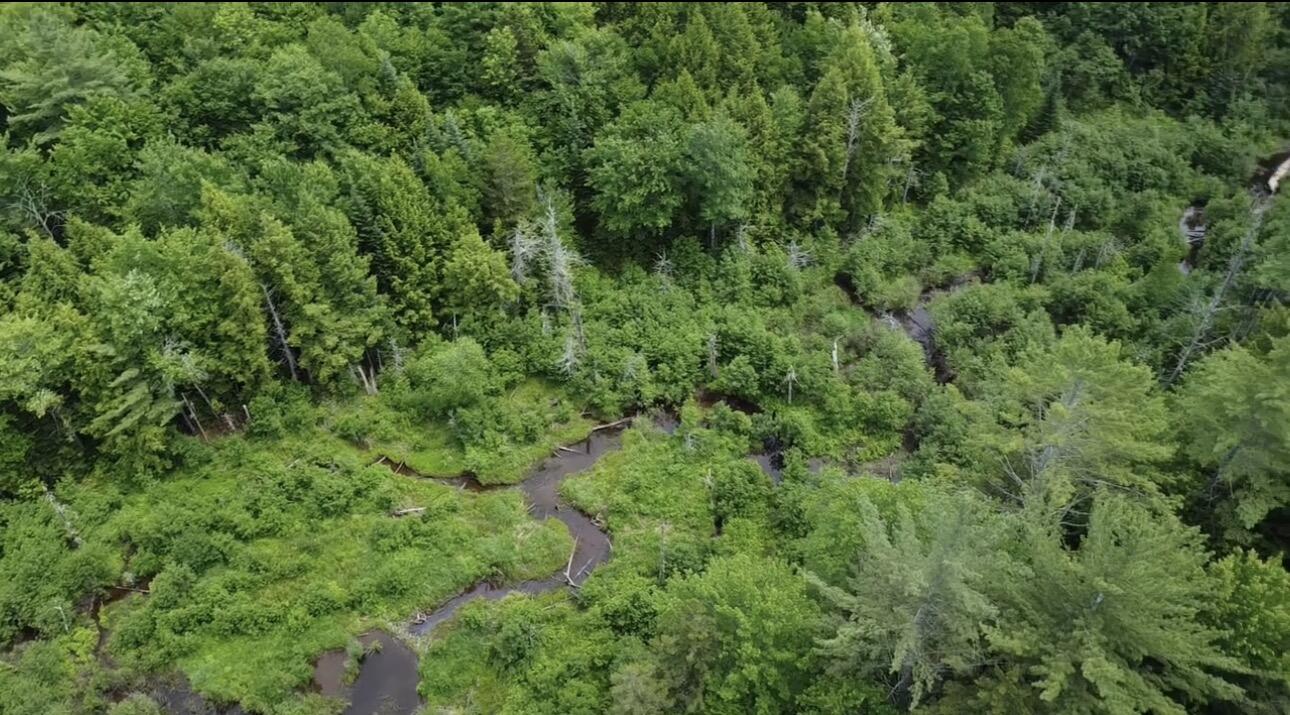 Lot 14 Hanslip Road