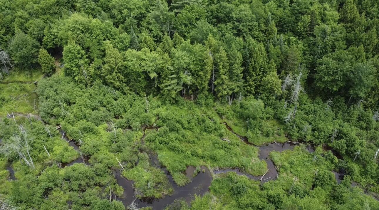 Lot 14 Hanslip Road