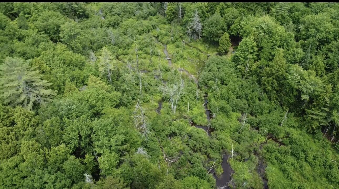 Lot 14 Hanslip Road