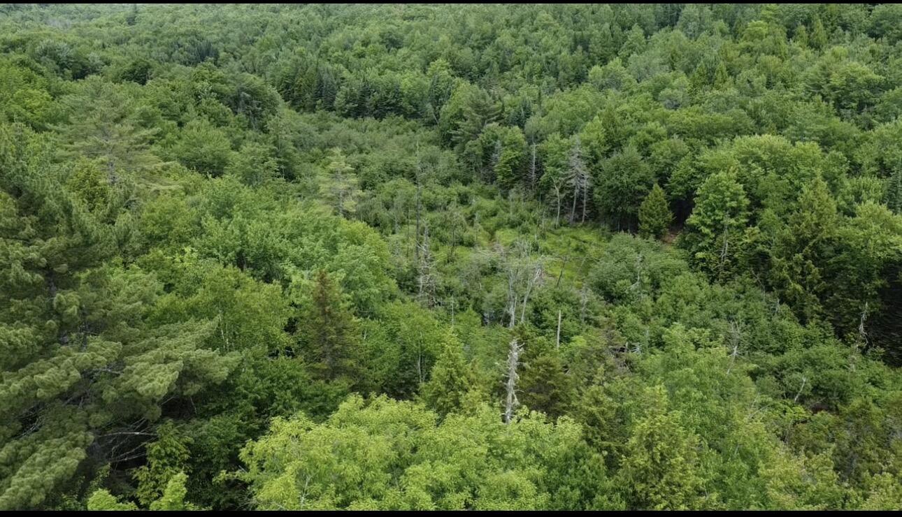 Lot 14 Hanslip Road