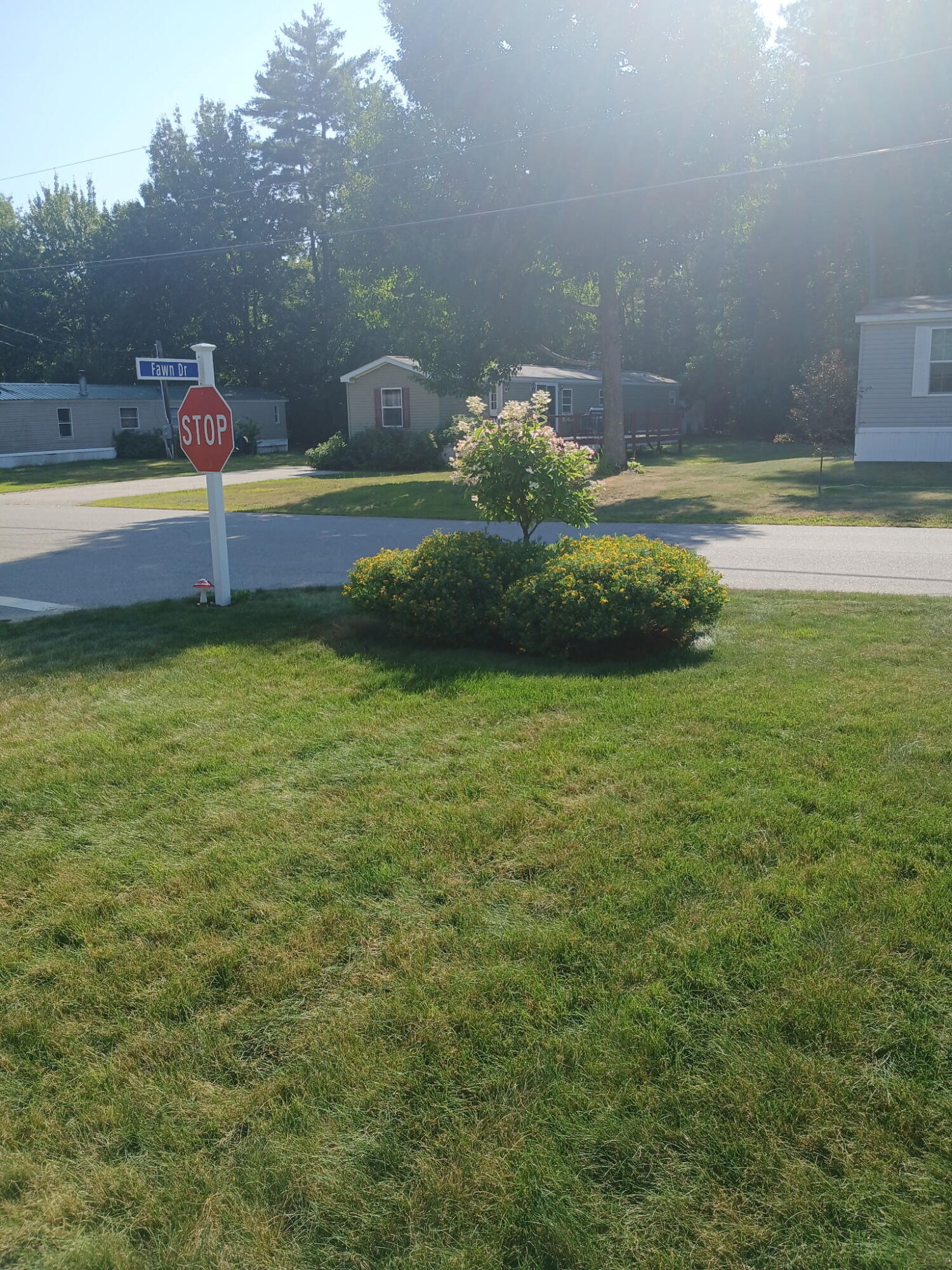 6 Deer Hill Avenue