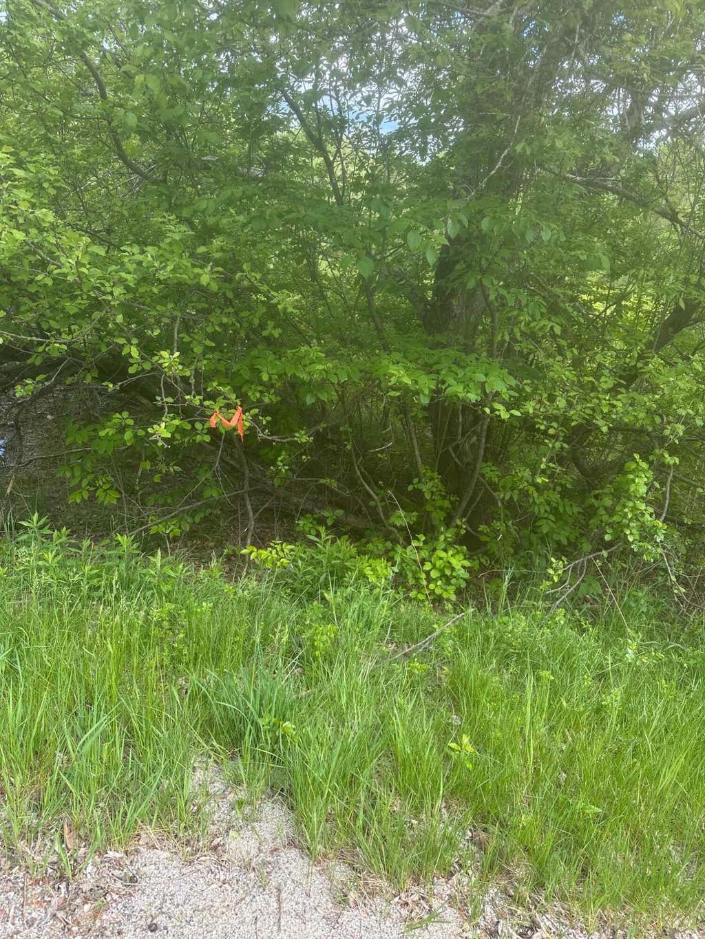 Photo of Lot 5 Unionville Road, Steuben, ME 04680 (MLS # 1665447)