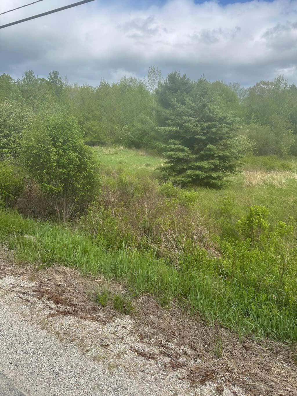 Photo of Lot 5 Unionville Road, Steuben, ME 04680 (MLS # 1665447)