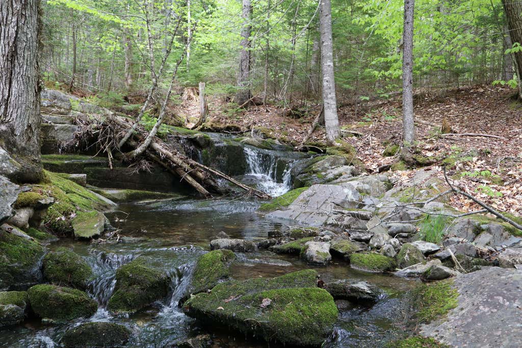Photo of 198 Scammon Road, Greenville, ME 04441 (MLS # 1665553)