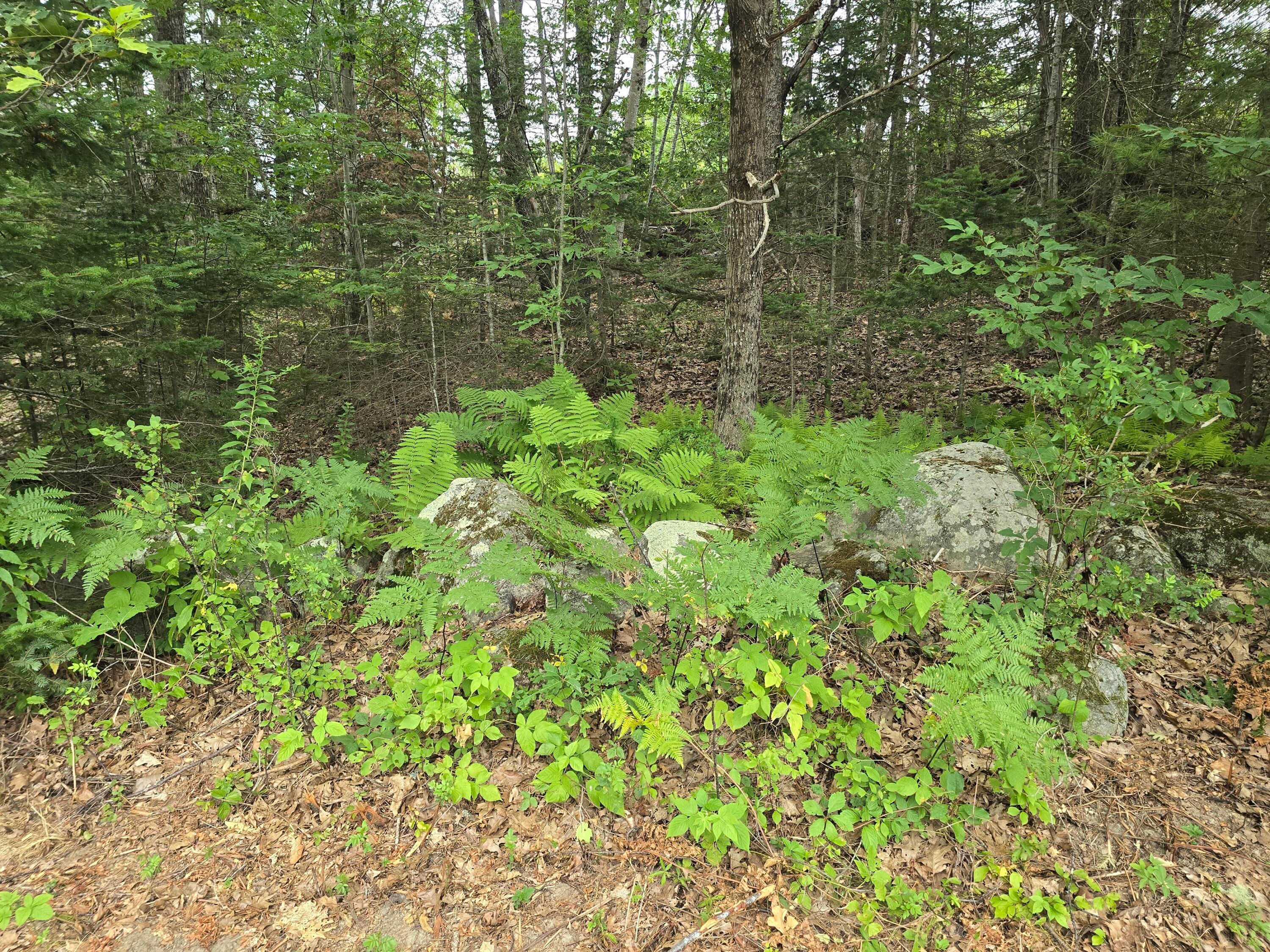 74 Old Sheepscot Road