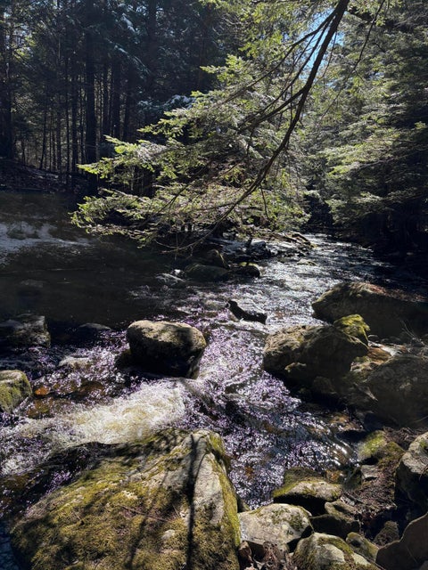 Photo of 6 Bog Brook Loop, West Paris, ME 04289 (MLS # 1657426)