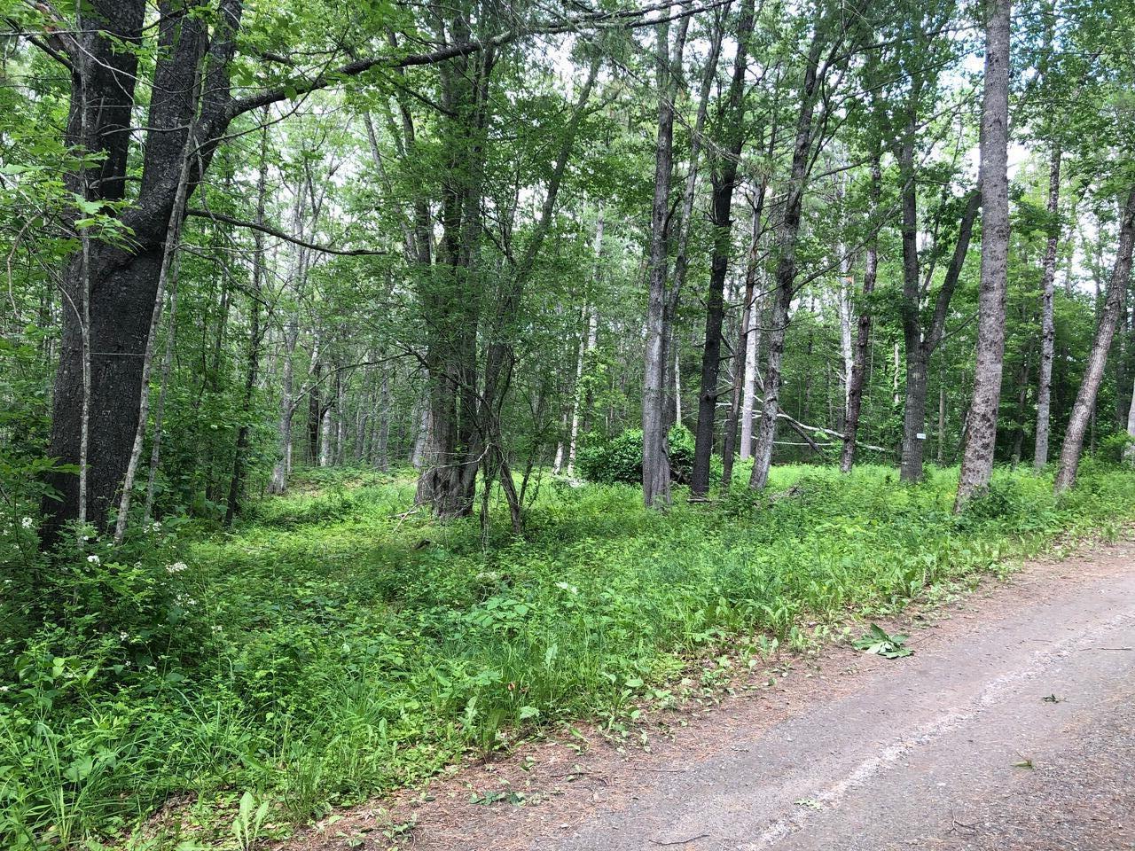 031-003-A Huston Cove Lane