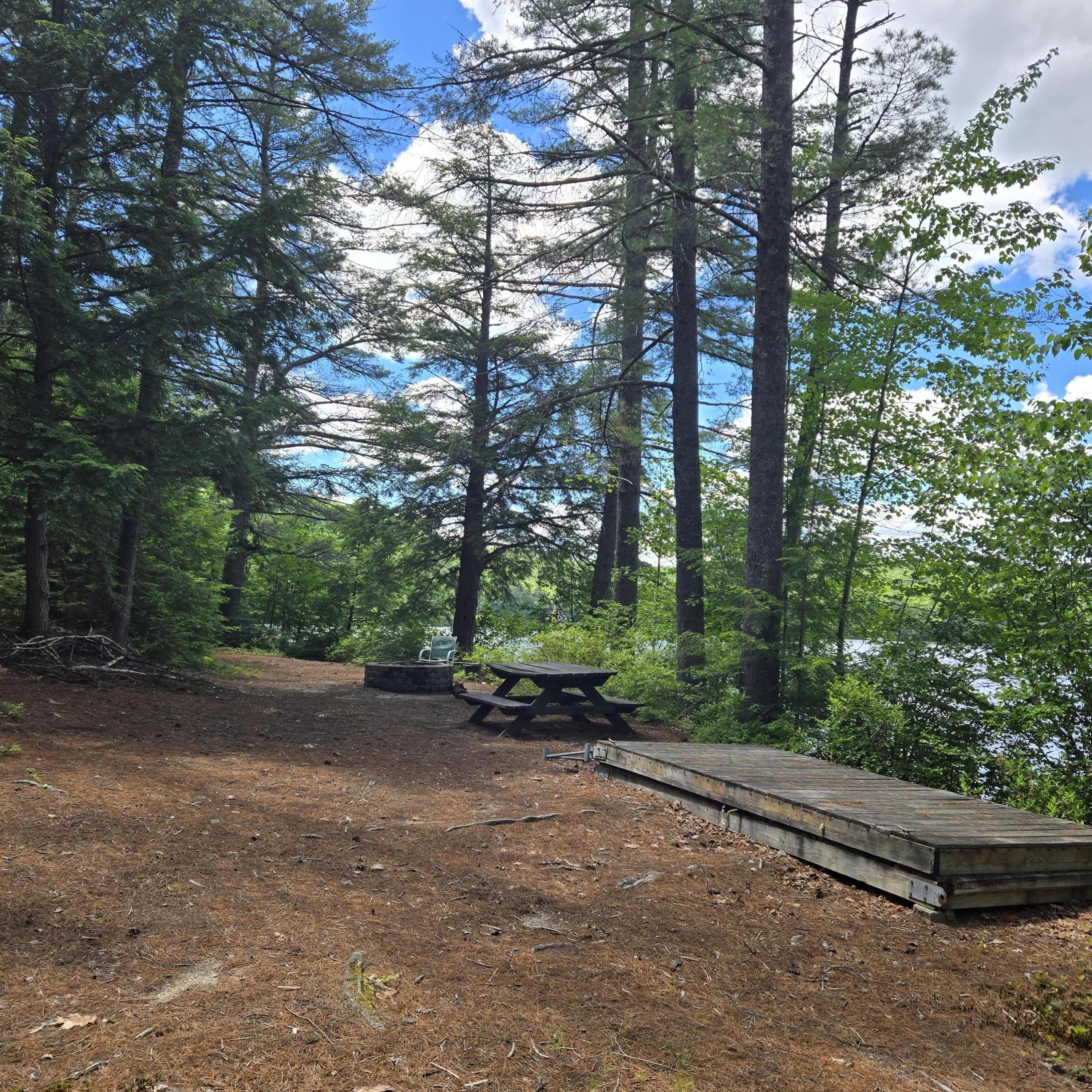 81 Swan Point