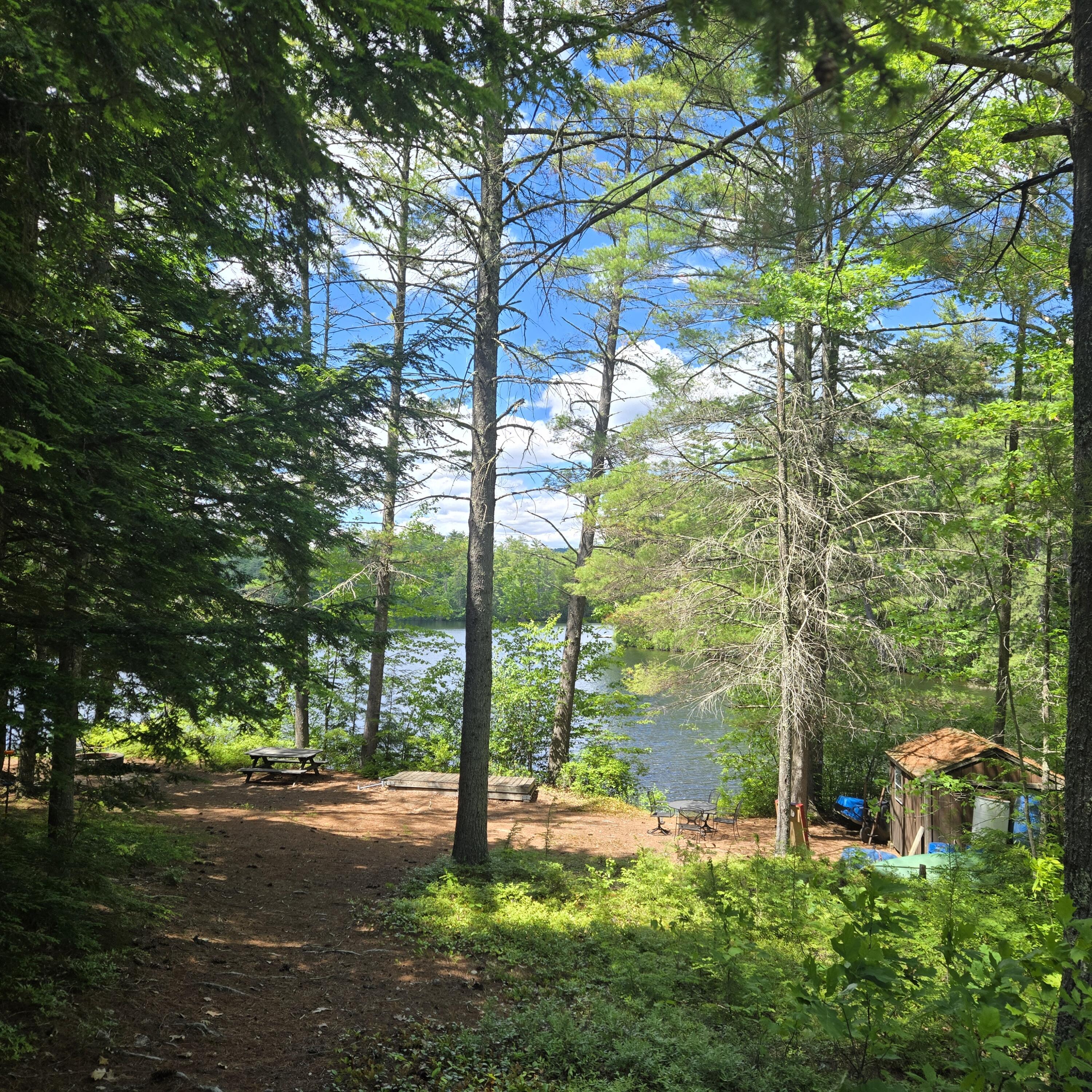 81 Swan Point