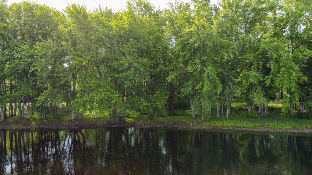 Photo of TBD Mohawk Road, Lincoln, ME 04457 (MLS # 1666439)
