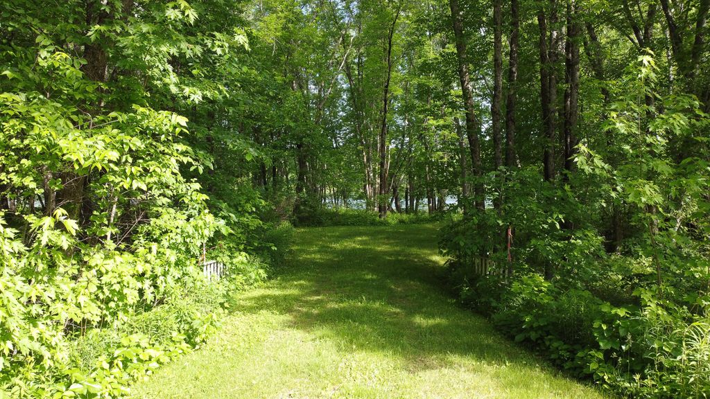 Photo of TBD Mohawk Road, Lincoln, ME 04457 (MLS # 1666439)