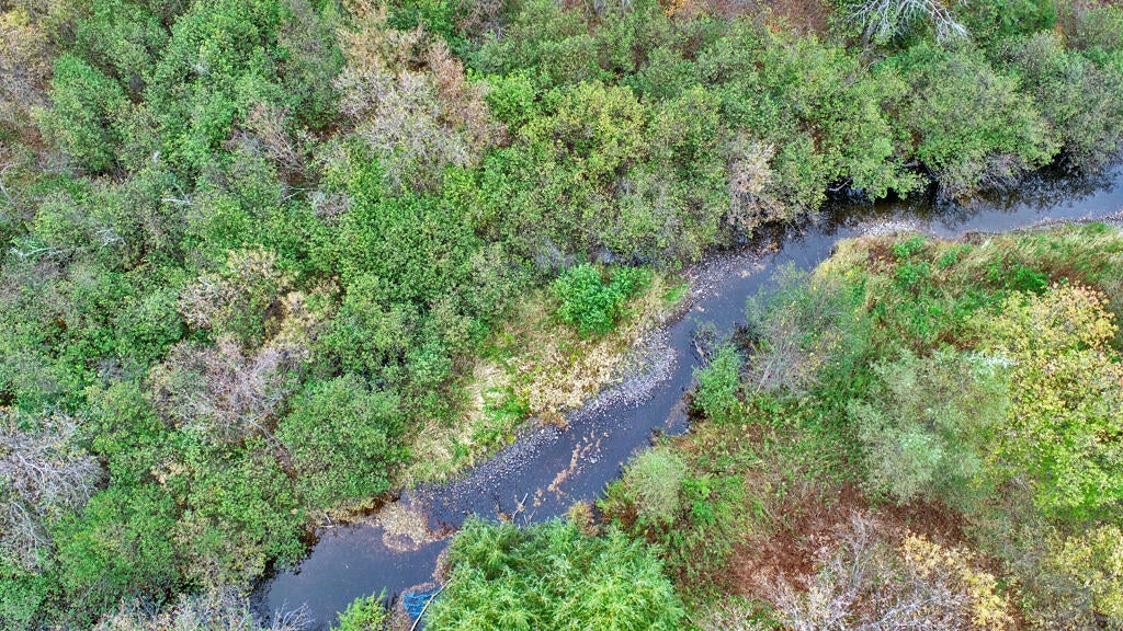 613 Drews Lake Road