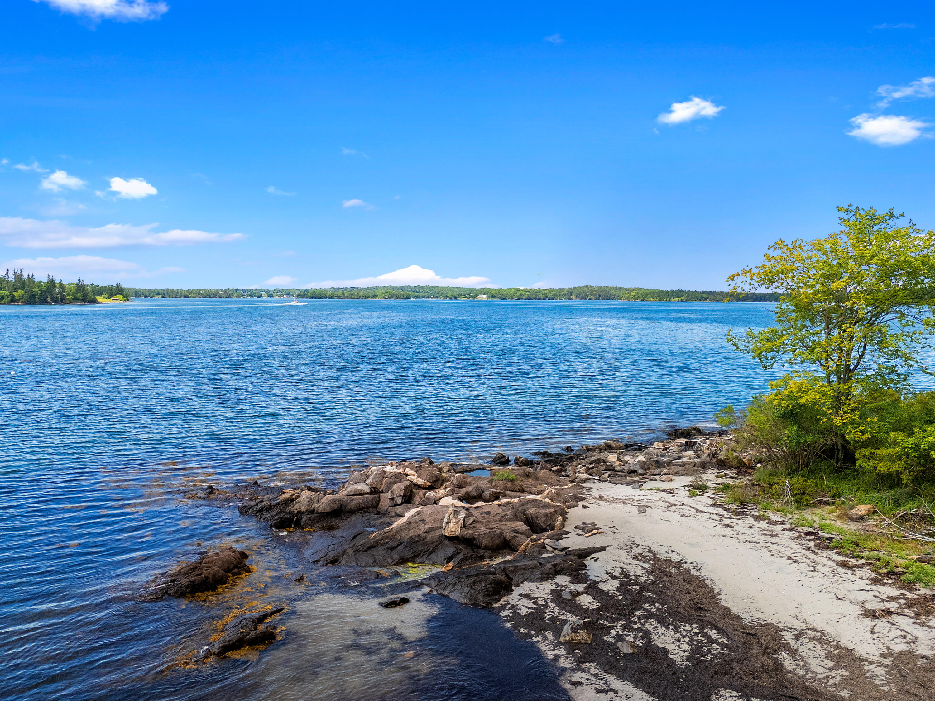 371 Gay Island