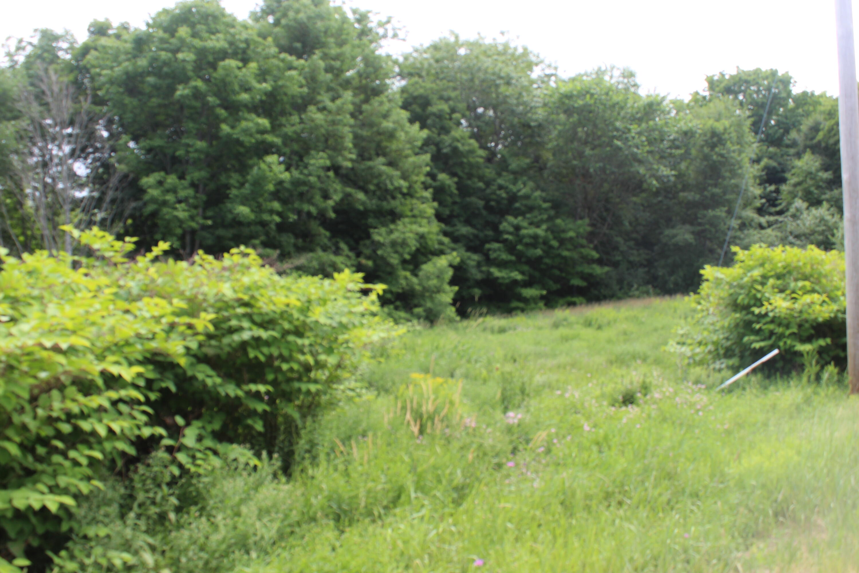 1093 Aroostook Scenic Highway